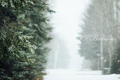 Aperturee - Winter Snowy forest Santa Mailbox Photography backdrop